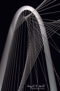 margaret-hunt-hill-bridge-arch-dallas-angelkwill