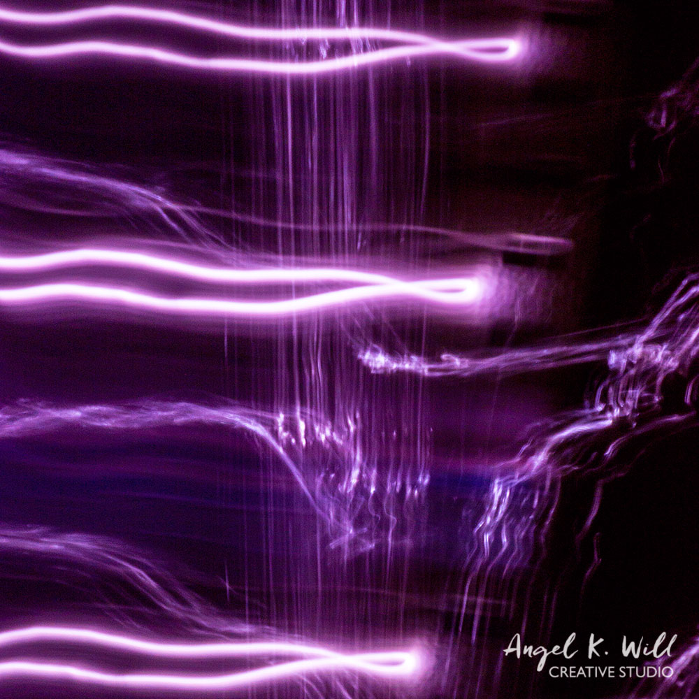 the-chase-angelkwill