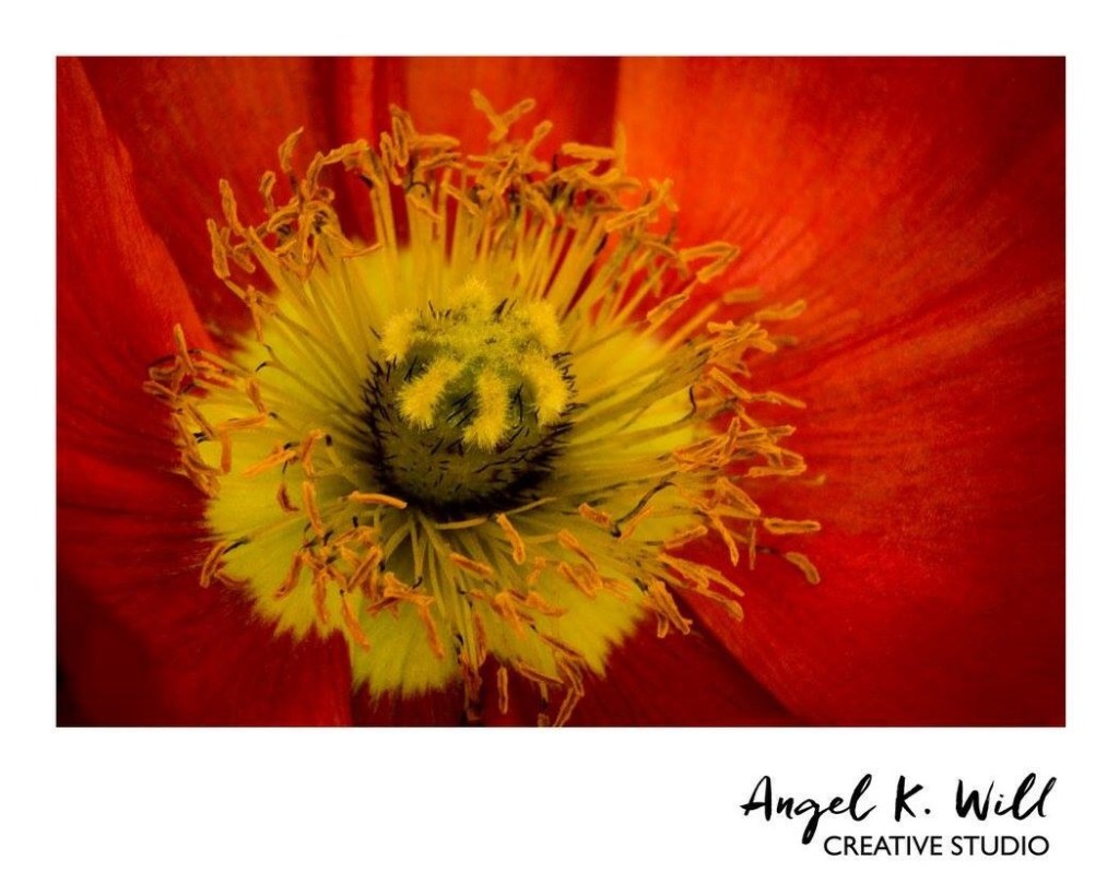 Start at the very beginning…