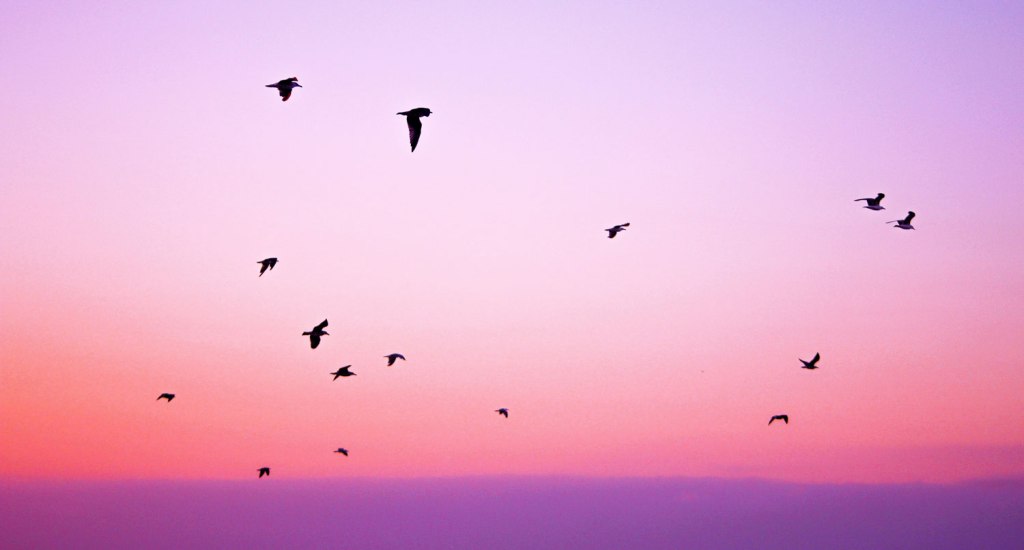 A Haiku: Love’s&nbsp;way