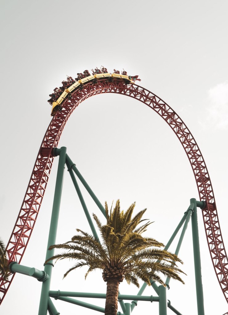 rollercoaster and palm tree