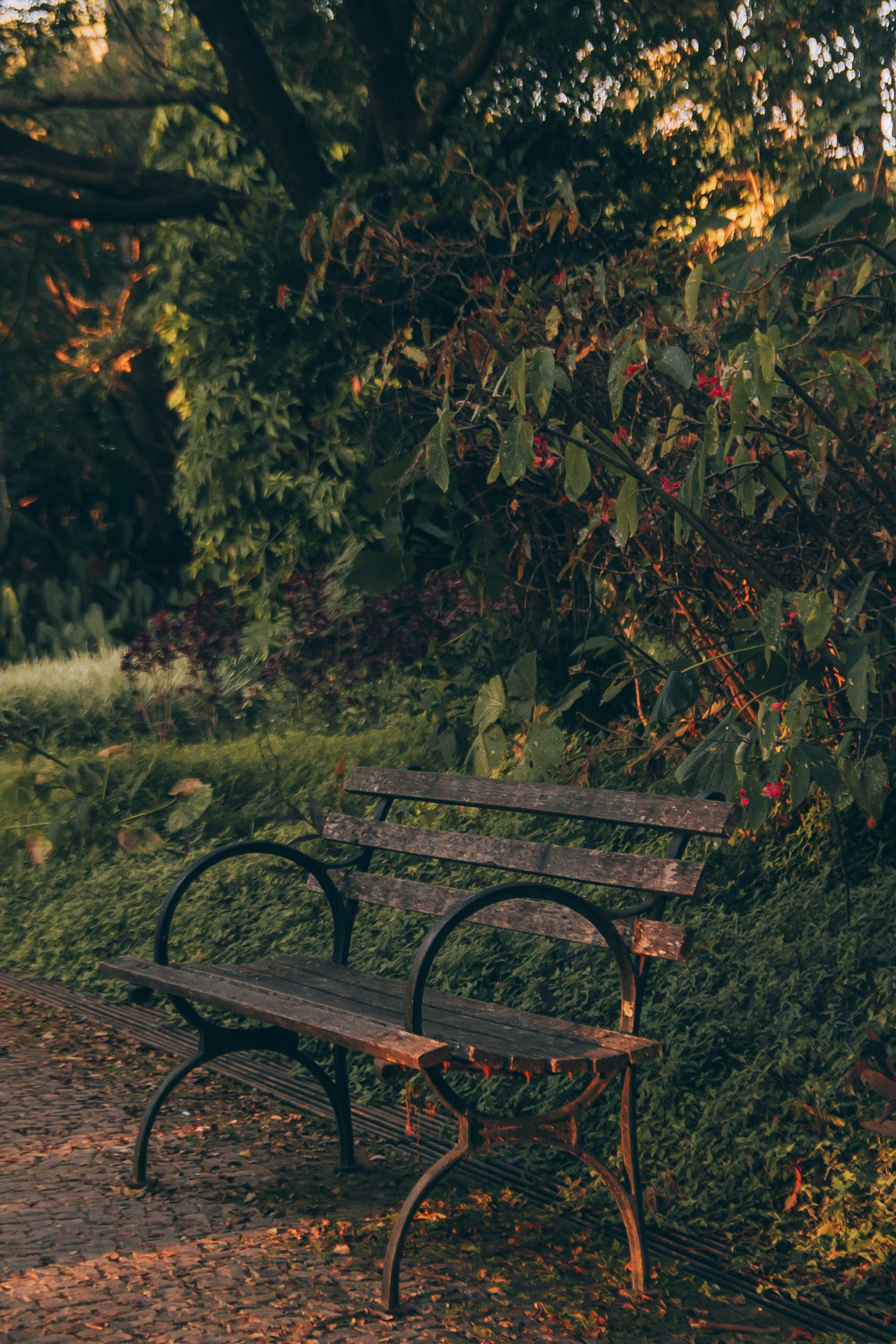 Some of the best advice I never asked&nbsp;for