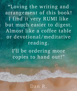 Customer quote promoting Beauty of the slow drip book. Very Rumi like. 